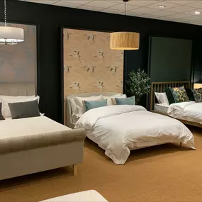 Bild von Dreams Taunton