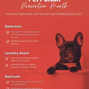 Pet safety starts at home! Common household items can be dangerous for our furry friends. Take a moment to check each room and make sure your pet stays safe from harmful products!