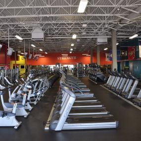 Cardio Equipment at GYMBOX.