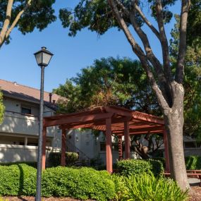 Wooden Pergola and Courtyard