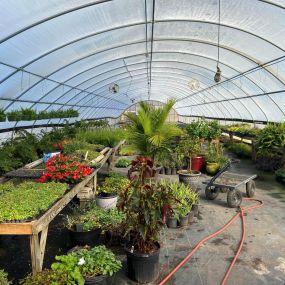 Bild von Whispering Pines Nursery and Landscaping