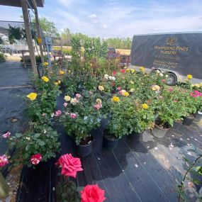 Bild von Whispering Pines Nursery and Landscaping