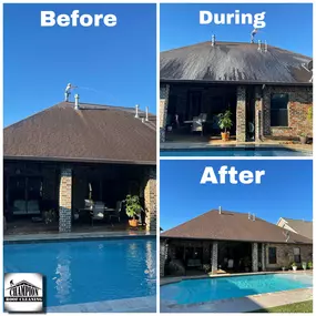 Bild von Champion Roof Cleaning and Pressure Washing