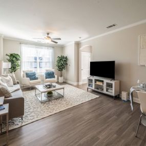 Beautiful Living Room