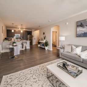 Open Space Living Room and Kitchen