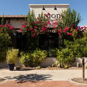 best italian restaurants in tucson