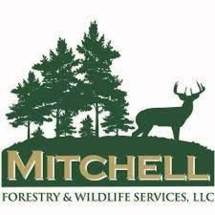 Logotyp från Mitchell Forestry & Wildlife Services, LLC