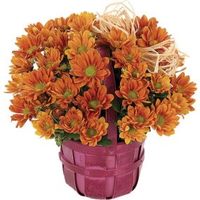 Autumn is captured in a most beautiful way by the coupling of a daisy plant sprouting irresistibly from a purple-stained bushel basket. A natural raffia bow provides an ideal accent to this radiant botanical creation.