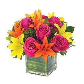 Lovely Lily & Rose Celebration Bouquet - Time to celebrate color with this celebration bouquet. Asiatic lilies, roses, and trachelium arranged superbly in a clear glass cube container with a Ti leaf wrap.