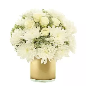 Close your eyes, and imagine a blissful rolling hillside covered in shimmering new-fallen snow…this breathtaking botanical celebration evokes those feelings and much more! Spray roses, Queen Anne's lace, cushion mums and carnations are beautifully arranged in a gold glass cylinder.