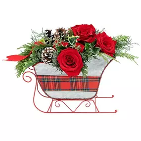 Introducing our stunning Silver Sleigh Serenade arrangement, carefully crafted to capture the spirit of the holiday season. Nestled within a charming silver sleigh, this arrangement is adorned with a festive plaid ribbon, adding a touch of rustic elegance to your décor.