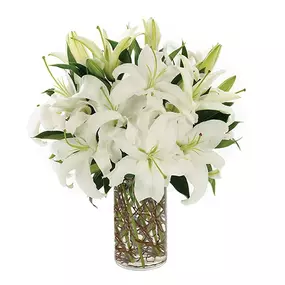 White lilies are the essence of grace and refinement...and this remarkable arrangement is all that. A clear cylinder vase and curly willow accents finish off a look of rare beauty. Measures 18