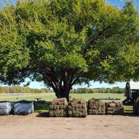 Bild von Crutcho Creek Sod Farm