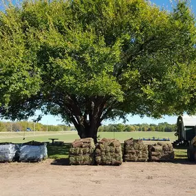 Bild von Crutcho Creek Sod Farm