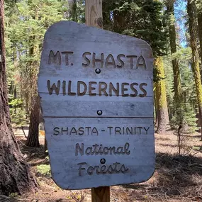 We had an incredible adventure. Mt Shasta was a beast!