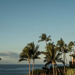 Bild von Four Seasons Resort Lanai