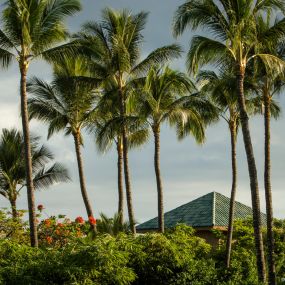 Bild von Four Seasons Resort Lanai