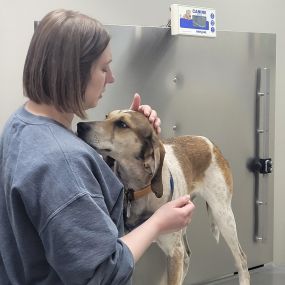 Bild von Madison Veterinary Hospital