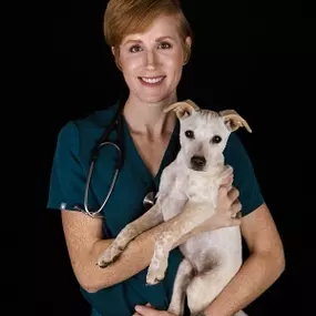 Bild von Madison Veterinary Hospital