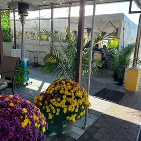Bild von Verona Ristorante