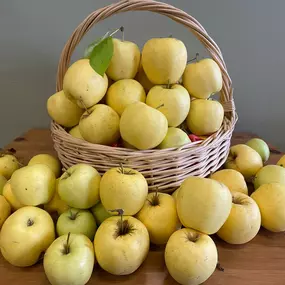 It's harvest season! Big shout out to Richard Fike for sharing his sweet, golden harvest with our office!