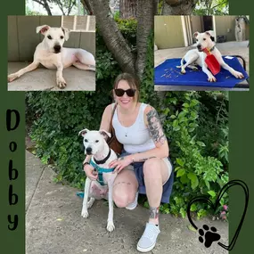 More gratitude coming your way! Tessa has been a part of our team for a year and half, and we couldn't be happier she is here with us! Tessa's love for her dog is beyond measure! She is grateful for Dobby...