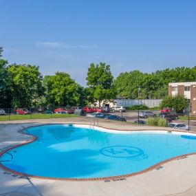 Sparkling Swimming Pool