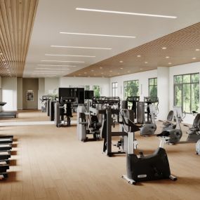 Fitness center with multiple cardio machines.