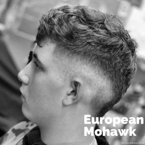 European Mohawk Okemos MI