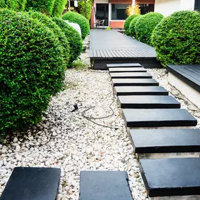 Bild von High Definition Lawn and Landscape