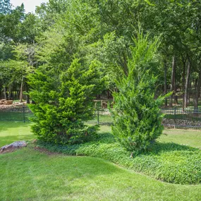 Bild von High Definition Lawn and Landscape