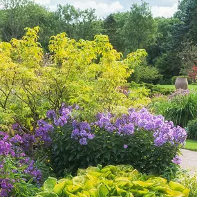 Bild von High Definition Lawn and Landscape