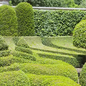 Bild von High Definition Lawn and Landscape
