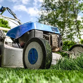 Bild von High Definition Lawn and Landscape