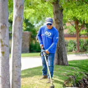 Bild von High Definition Lawn and Landscape