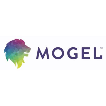 Logo from MOGEL