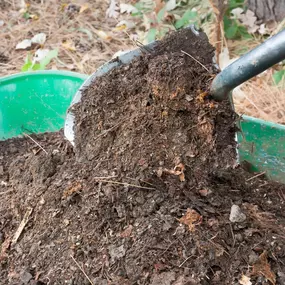 Can Compost Be Used As Mulch