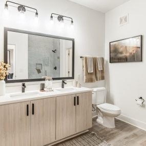 bathroom vanity and mirror