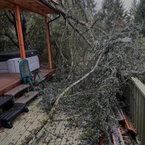 Tree removal, tree pruning, & stump removal services serving  Hillsboro, Beaverton, Tigard, Forest Grove, Sherwood, Lake Oswego, and SW Portland.