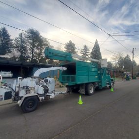 Tree removal, tree pruning, & stump removal services serving  Hillsboro, Beaverton, Tigard, Forest Grove, Sherwood, Lake Oswego, and SW Portland.