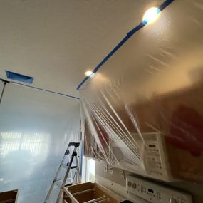 Mold Remediation & Mold Removal Services in Tampa, FL