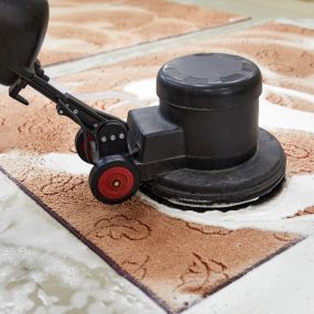 Carpet Cleaning Service In Tampa | Upholstery & Tile Cleaning