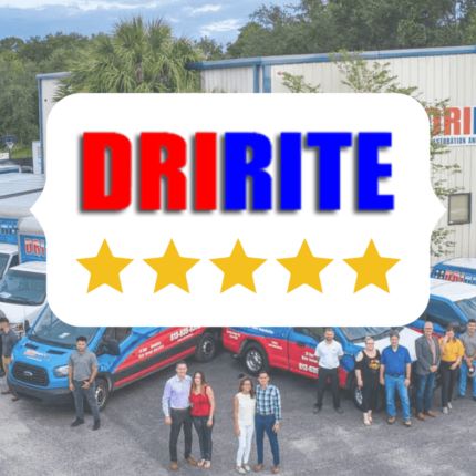 Logotyp från DriRite - Disaster Restoration