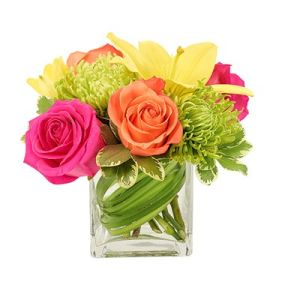 Bold only begins to describe this fantastic floral celebration featuring color-complementing roses, Asiatic lily and spider mums in a classic cube container.