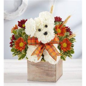 Our fall flower pup is a true delight. Crafted from white carnations, with harvest-colored blooms all around, he’s designed in our rustic grey-washed wooden cube, adding warmth and charm of this whimsical gift.