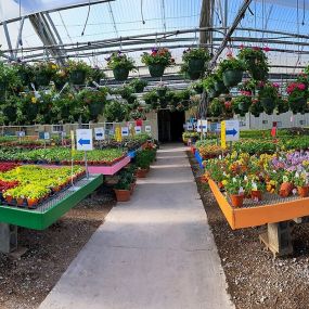 Panoramic view of plants for sale inside at Willow Greenhouse
