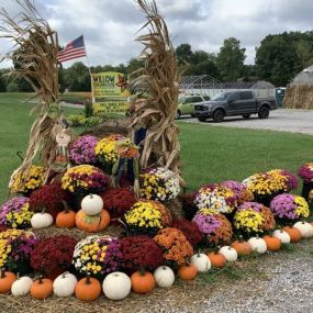 Fall outdoor decor outside at Willow Greenhouse