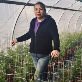 Theresa Merino; Production, Propagation Manager and Head Grower