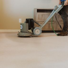 Carpet Cleaning in Chicago