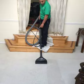 Carpet Cleaning